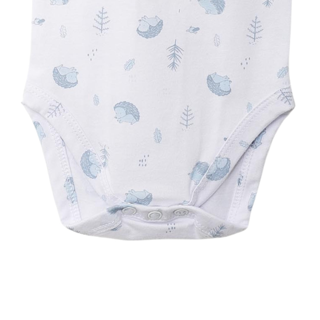 eicher Body in Hellblau mit niedlichem Igel-Motiv für Neugeborene.