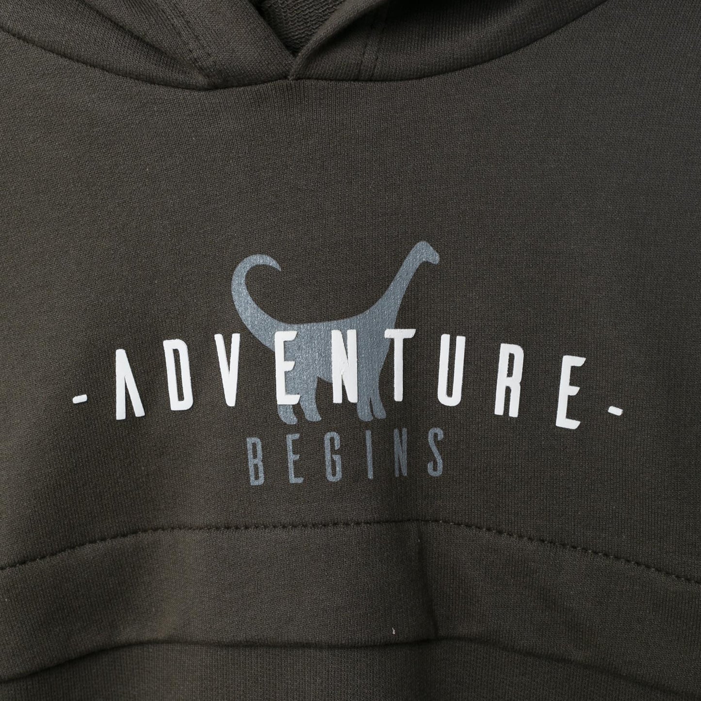 Detailansicht des “ADVENTURE BEGINS” Schriftzugs und Dinosaurier-Motivs auf dem Kapuzenpullover