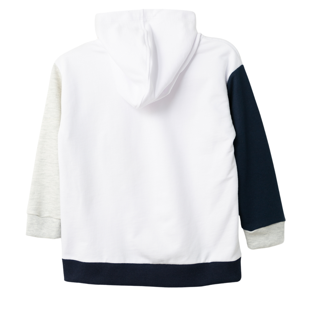 Rückseite des grauen Haifisch-Hoodies mit Kapuze – bequem und ideal für Entdeckungstouren.